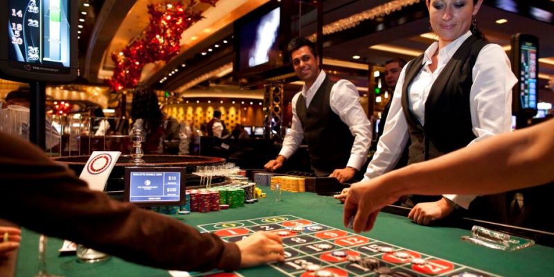 Why Choose Daman Games for Online Gambling?